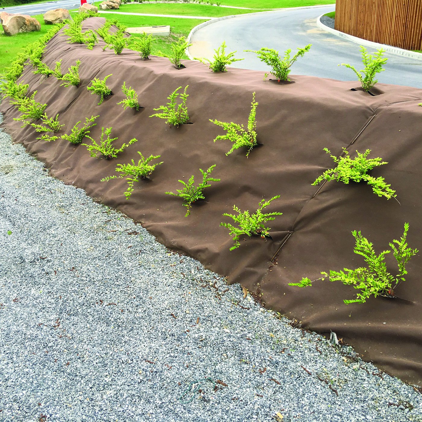 Nappe de paillage Plantex Gold